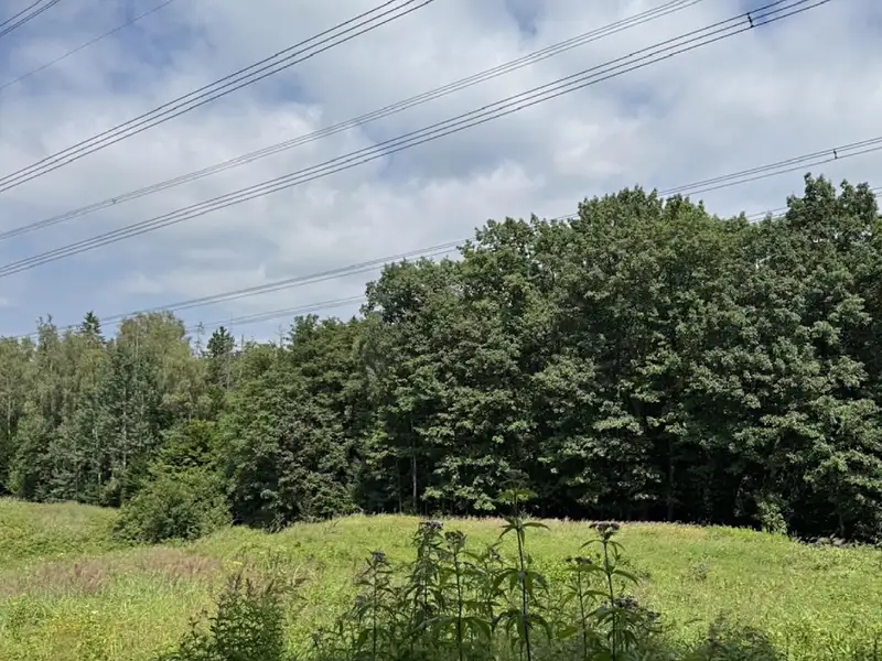 Prodej rybníku (vodní plochy) 12501 m², Karviná – náhled fotky 2