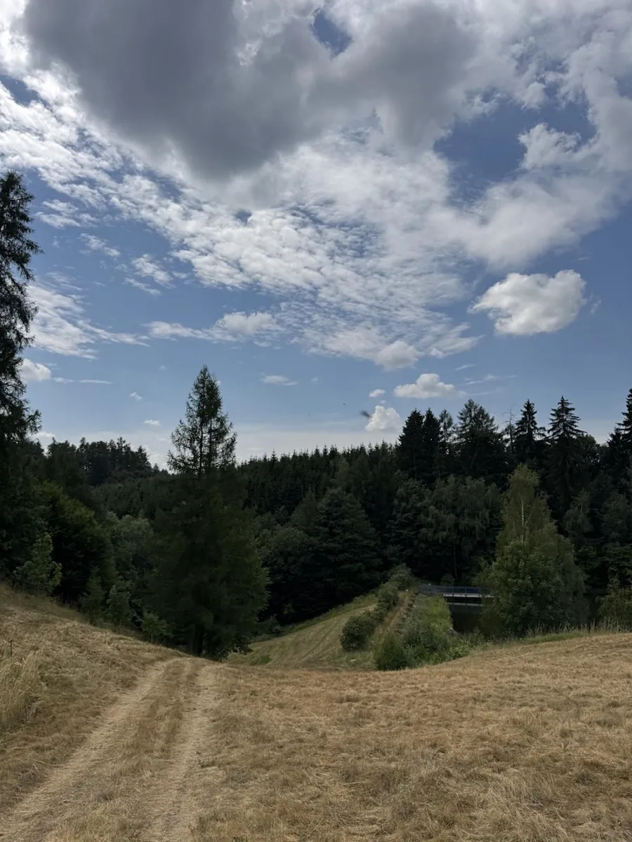 Prodej lesa 10342 m²