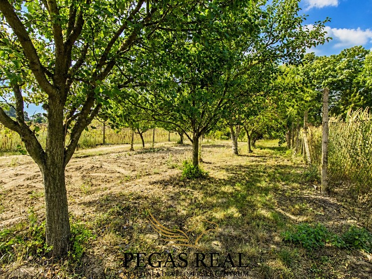 Prodej pozemku, 2 534 m² (12 z 14)