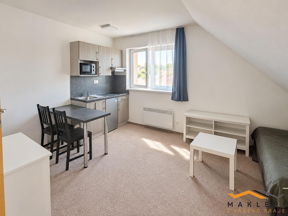 Pronájem bytu 1+kk 35 m²