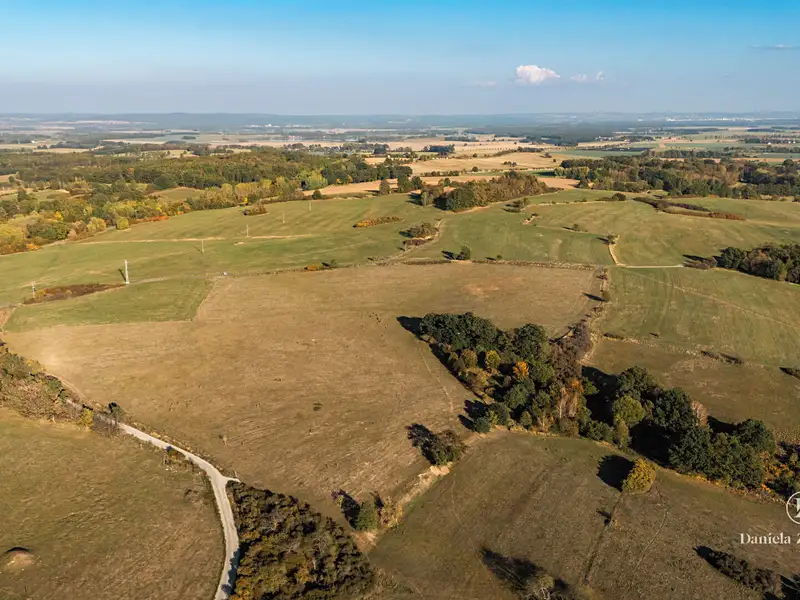Prodej louky 26111 m², Netolice – náhled fotky 2