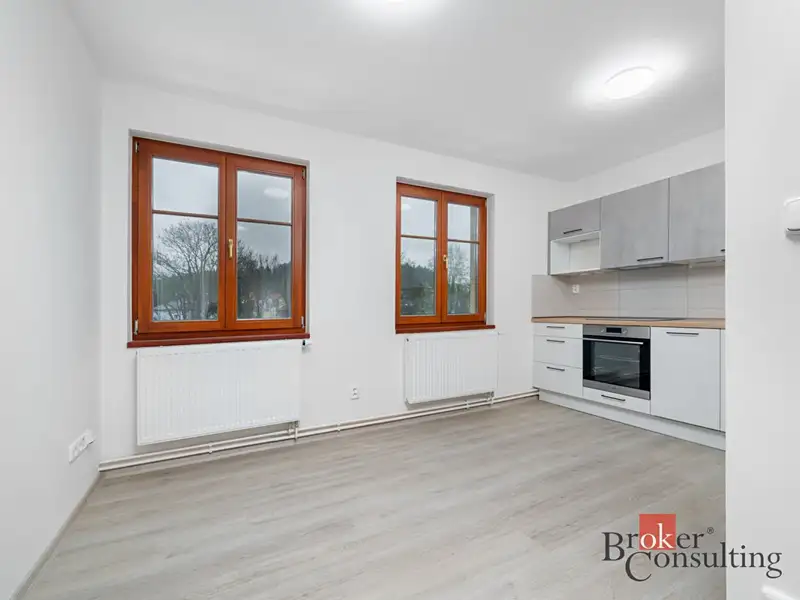 Pronájem bytu 1+1 37 m², Nový Bor – náhled fotky 3