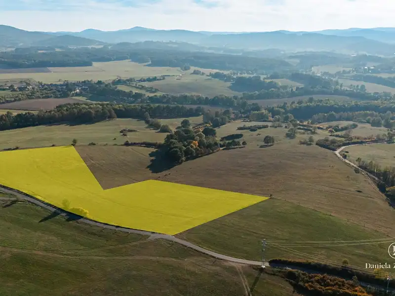 Prodej louky 26111 m², Netolice – náhled fotky 1