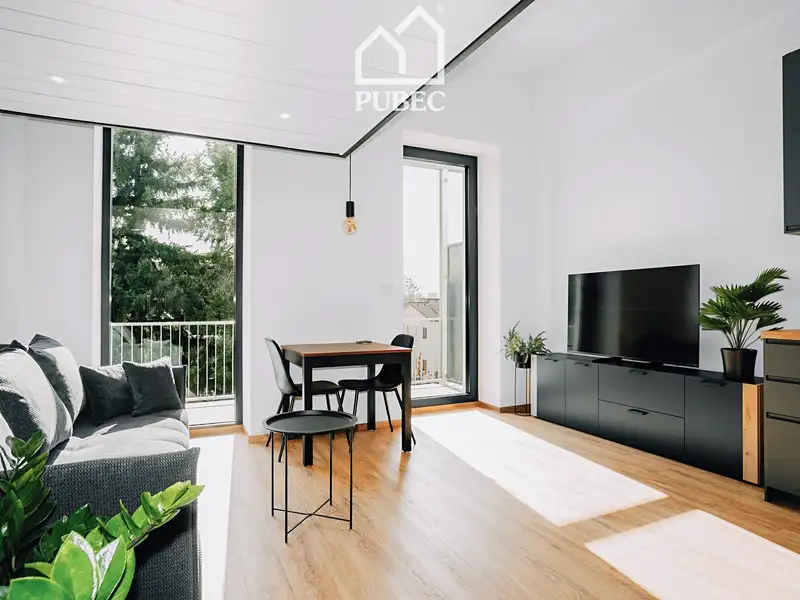 Pronájem bytu 1+kk 40 m², Plzeň – náhled fotky 3