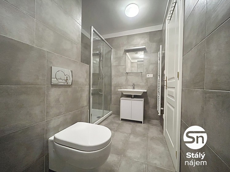 Wohnung 1+kk zur Miete, 42 m² (7 von 12)