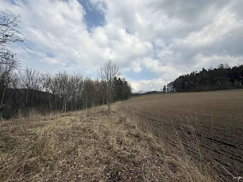 Dražba rodinného domu 236 m², pozemek 870 m², Žďárek – náhled fotky 2