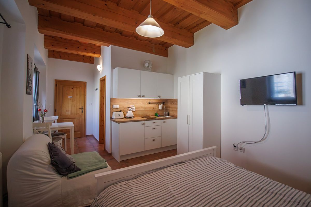 Pronájem bytu atypický 25 m², Sušice – fotka 1 z 3