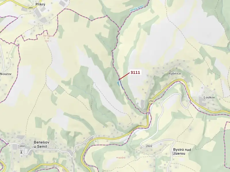 Dražba lesa 2958 m², Benešov u Semil – náhled fotky 1