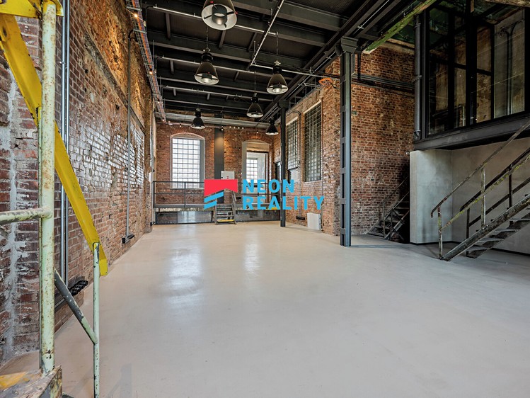 Gewerbefläche zur Miete, 244 m² (8 von 23)