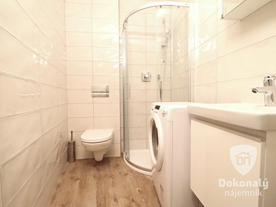 Wohnung 1+kk zur Miete, 22 m² (2 von 11)