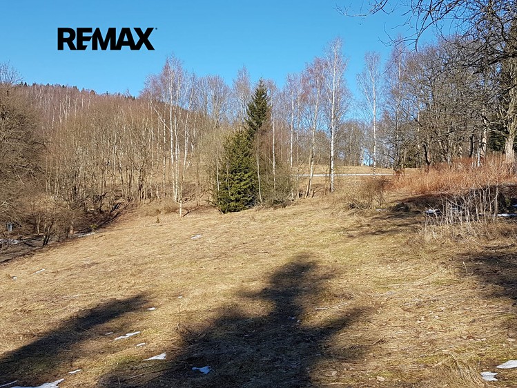 Ділянка на продаж, 4 558 м² (16 з 18)