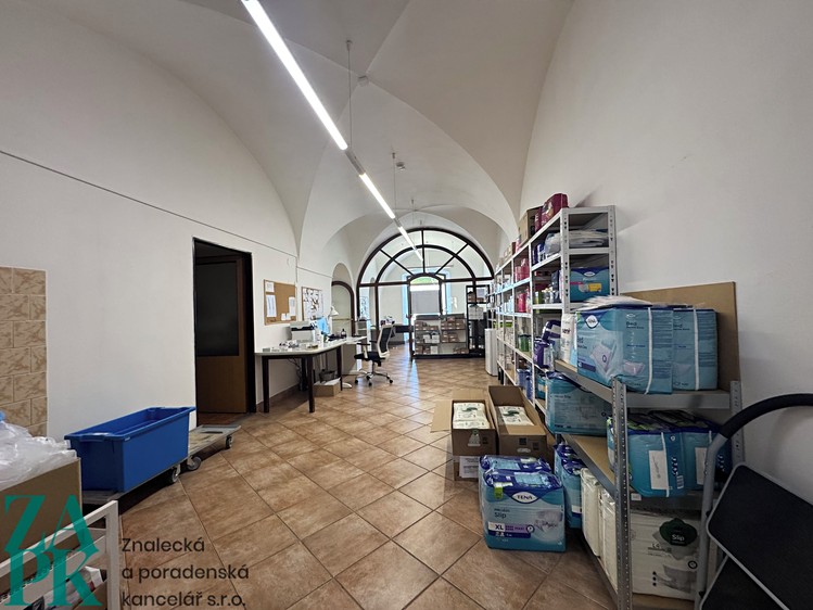 Pronájem komerčního prostoru, 226 m² (11 z 31)