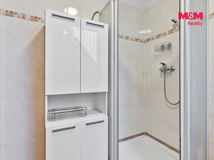 Prodej domu, 250 m² (24 z 30)