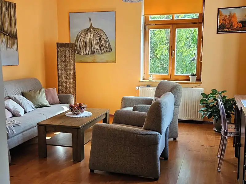 Pronájem bytu 2+1 47 m², Karlovy Vary – náhled fotky 2