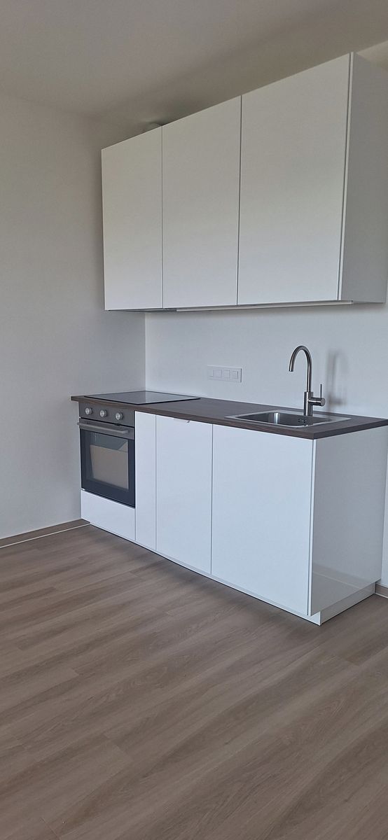 Pronájem bytu 1+kk 39 m², Brno – fotka 1 z 3