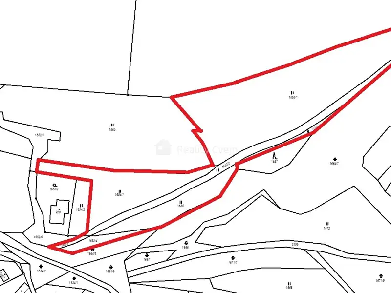 Prodej louky 8970 m², Růžďka – náhled fotky 3