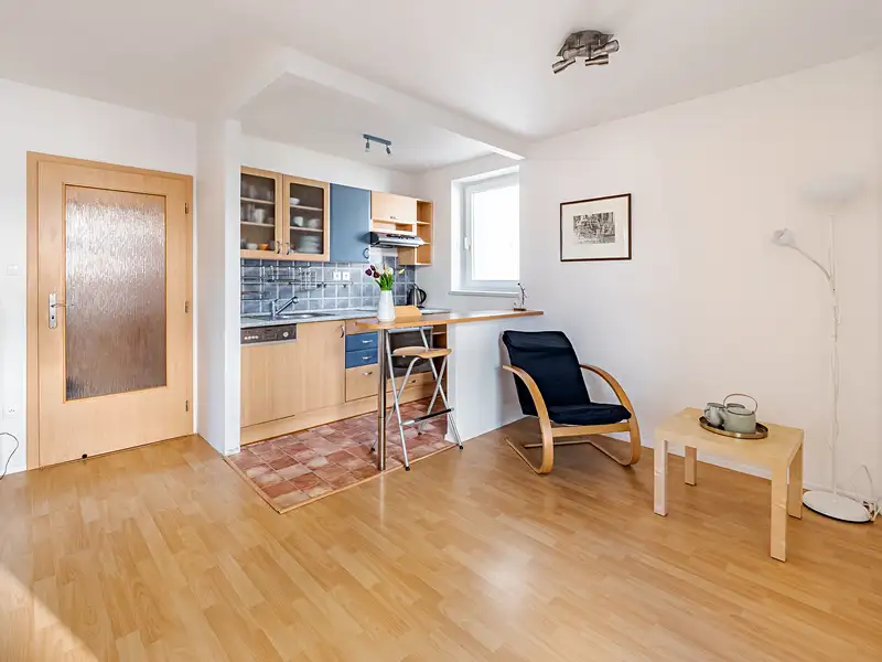 Prodej bytu 2+kk 40 m², České Budějovice – náhled fotky 1