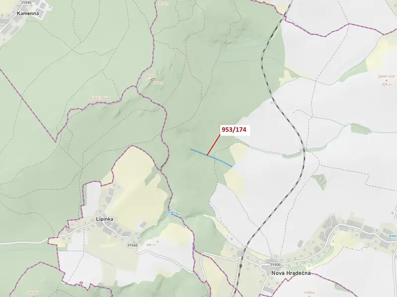 Dražba lesa 6275 m², Nová Hradečná – náhled fotky 1