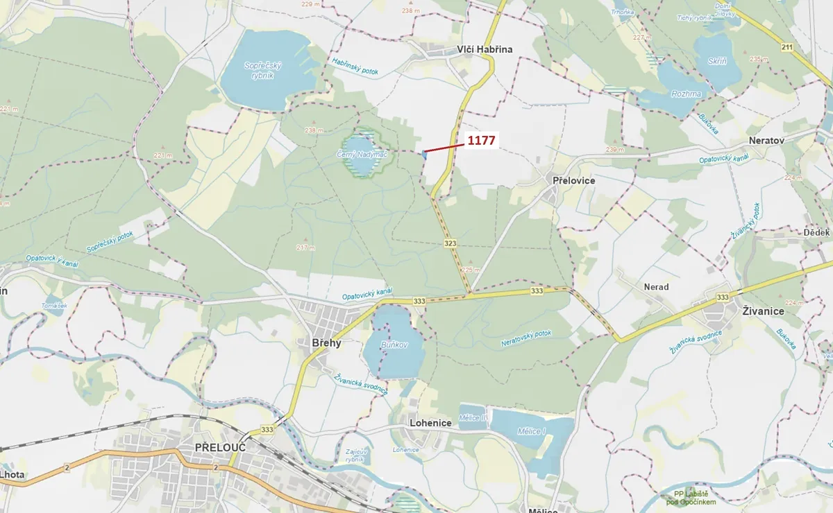 Dražba lesa 4658 m²