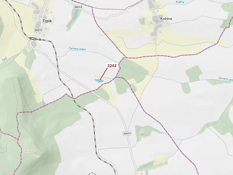 Dražba lesa 3972 m², Trpík – náhled fotky 1