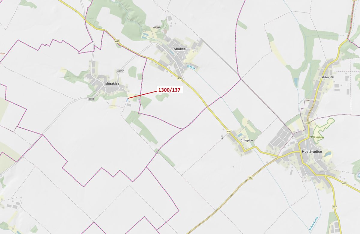 Dražba lesa 676 m², Morašice – fotka 1 z 3