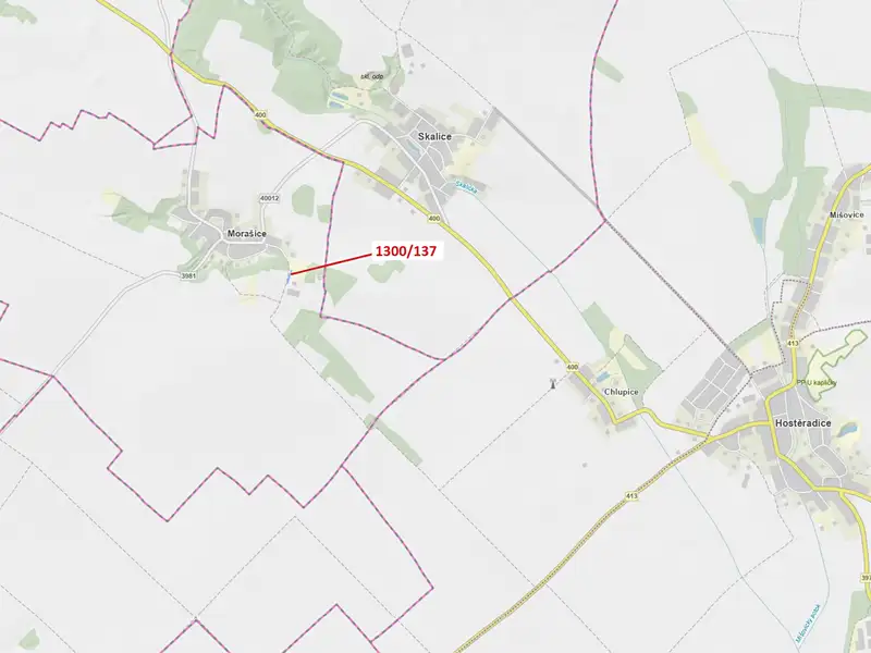 Dražba lesa 676 m², Morašice – náhled fotky 1