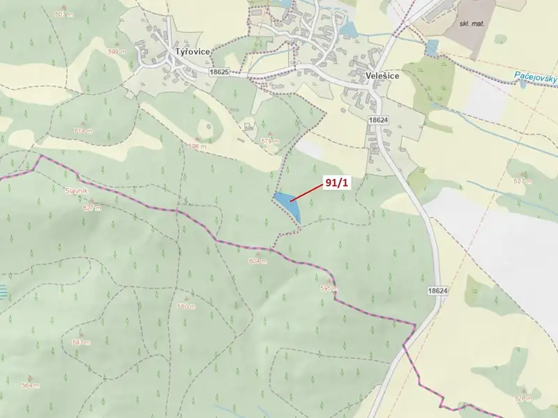 Dražba lesa 3251 m², Pačejov – náhled fotky 1