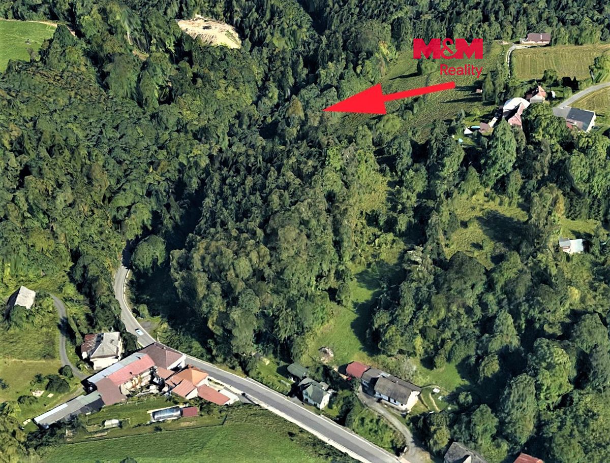 Prodej lesa 987 m², Koberovy – fotka 1 z 3