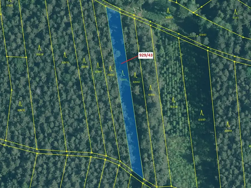 Dražba lesa 1258 m², Hosty – náhled fotky 2
