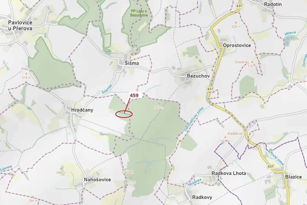 Dražba lesa 1895 m²