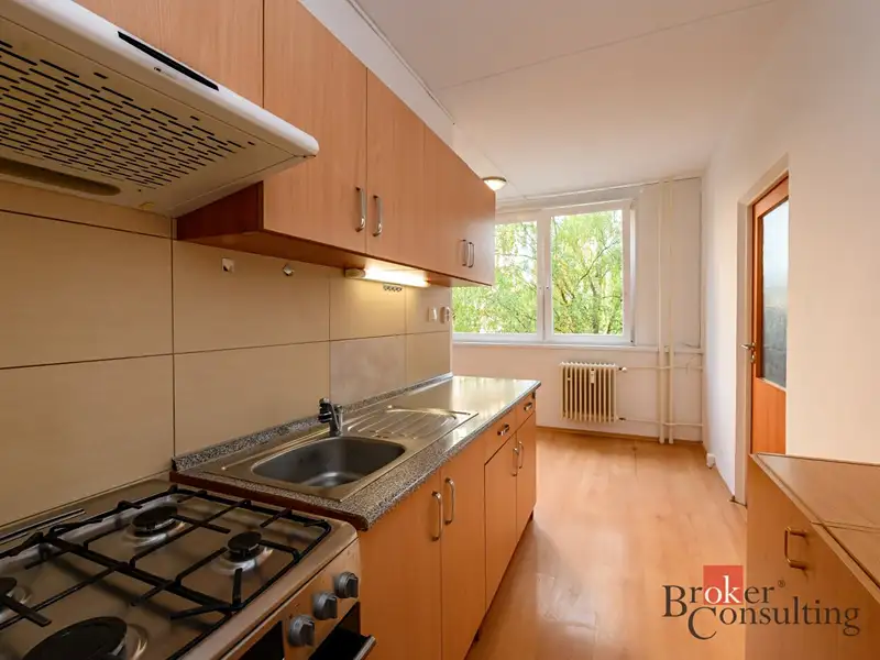 Pronájem bytu 2+1 60 m², Plzeň – náhled fotky 3