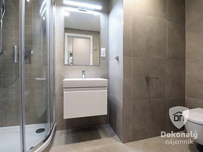 Pronájem bytu 1+kk, 34 m² (3 z 23)