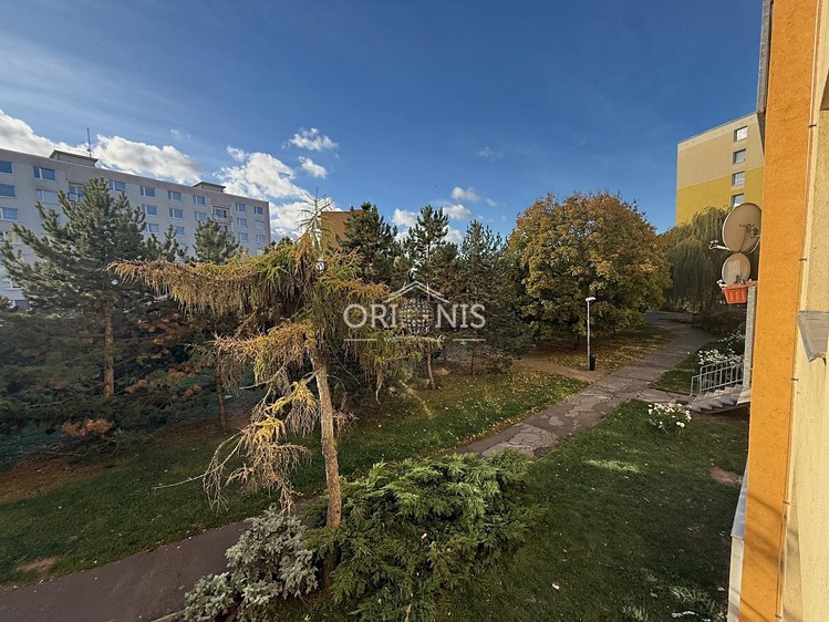 Wohnung 1+1 zur Miete, 36 m² (8 von 11)