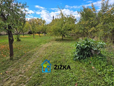 Ділянка на продаж, 2 167 м² (3 з 8)