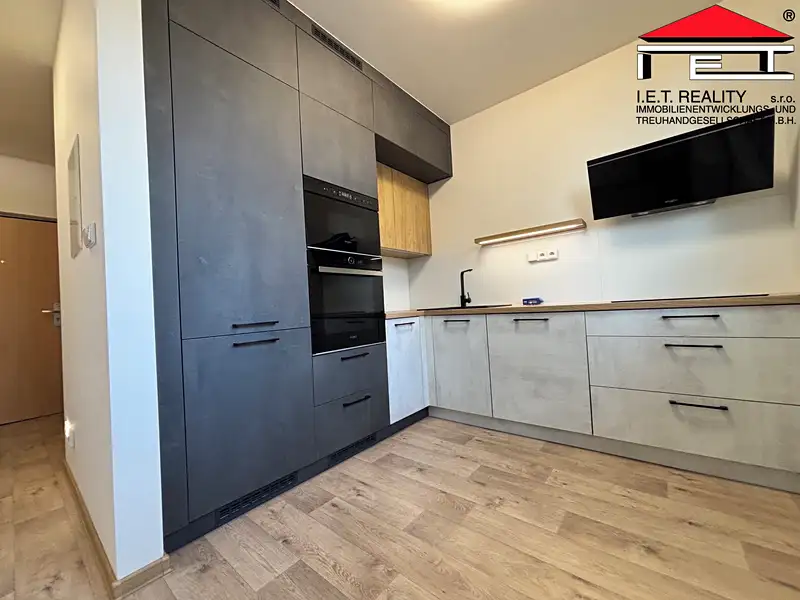 Pronájem bytu 1+1 42 m², Frýdek-Místek – náhled fotky 3