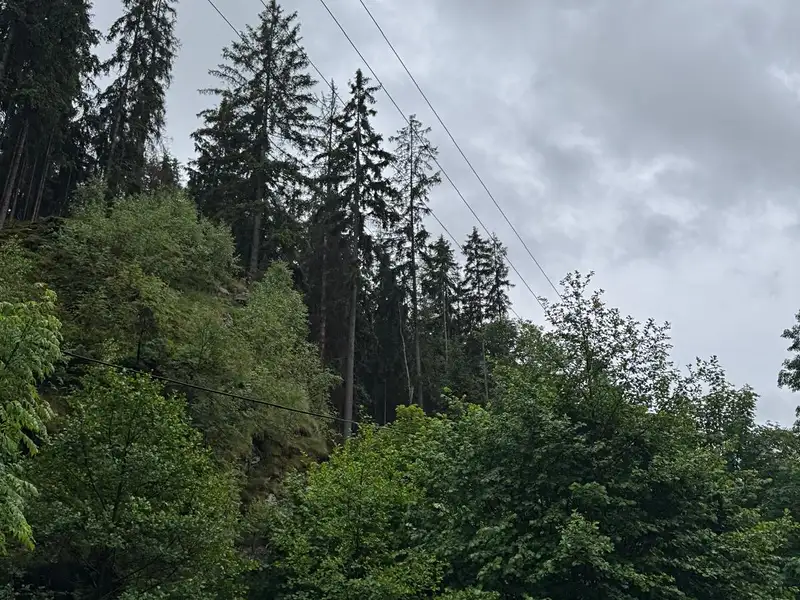 Prodej lesa 18900 m², Železný Brod – náhled fotky 3