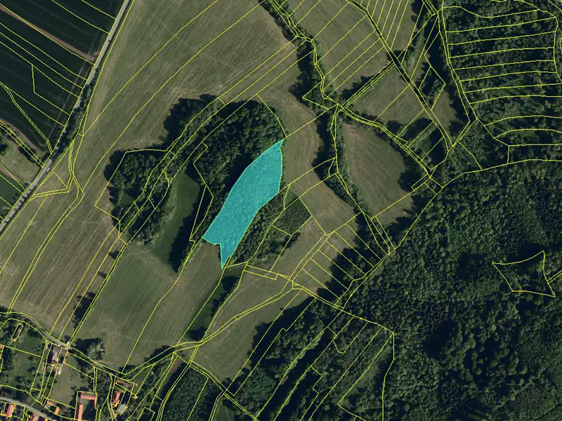 Prodej lesa 12582 m², Starý Jičín – náhled fotky 3