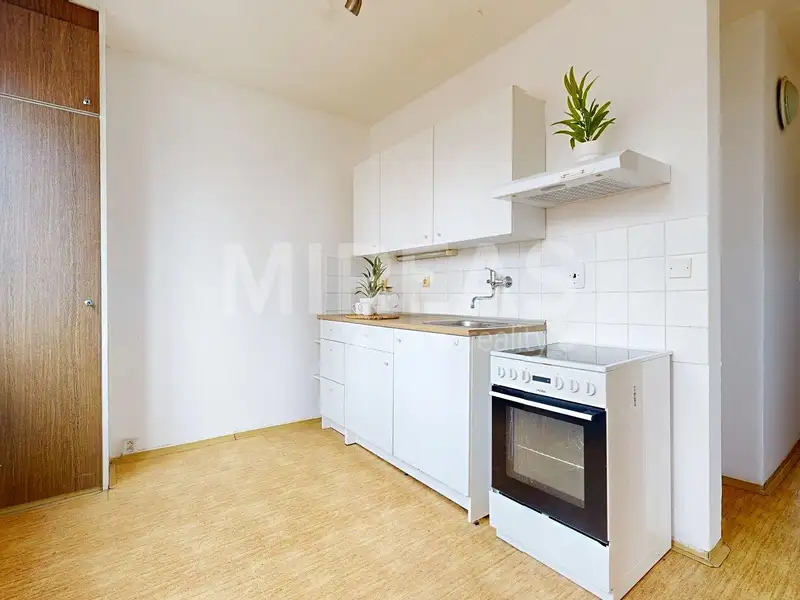 Prodej bytu 2+1 60 m², Milovice – náhled fotky 1