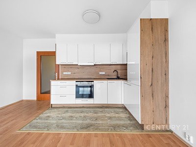Wohnung 2+kk zur Miete, 64 m² (3 von 18)