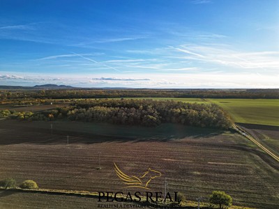 Ділянка на продаж, 16 289 м² (3 з 6)