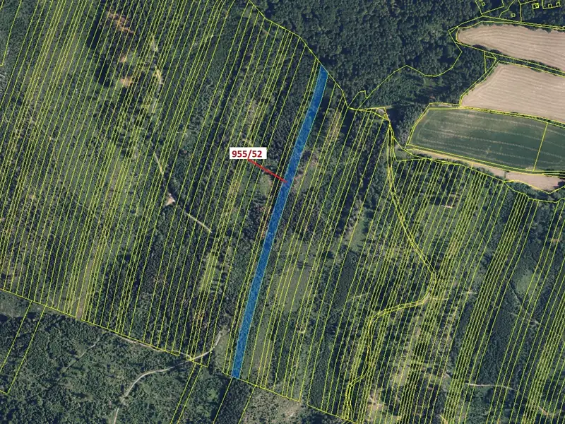 Dražba lesa 12014 m², Nová Hradečná – náhled fotky 2