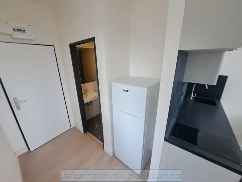 Pronájem bytu 1+kk 42 m², Praha – náhled fotky 2