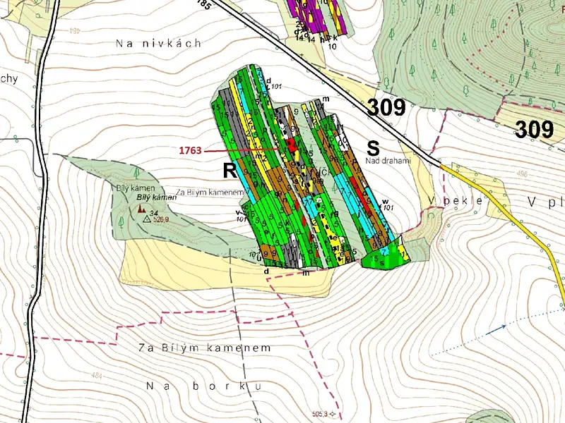 Dražba lesa 7329 m², Koloveč – náhled fotky 3