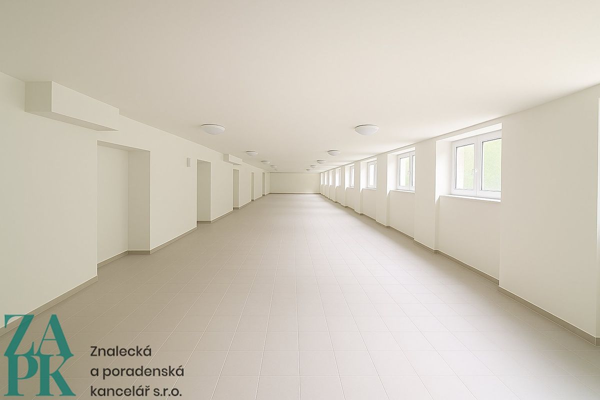 Pronájem komerční nemovitosti 150 m², Ústí nad Labem – fotka 1 z 3
