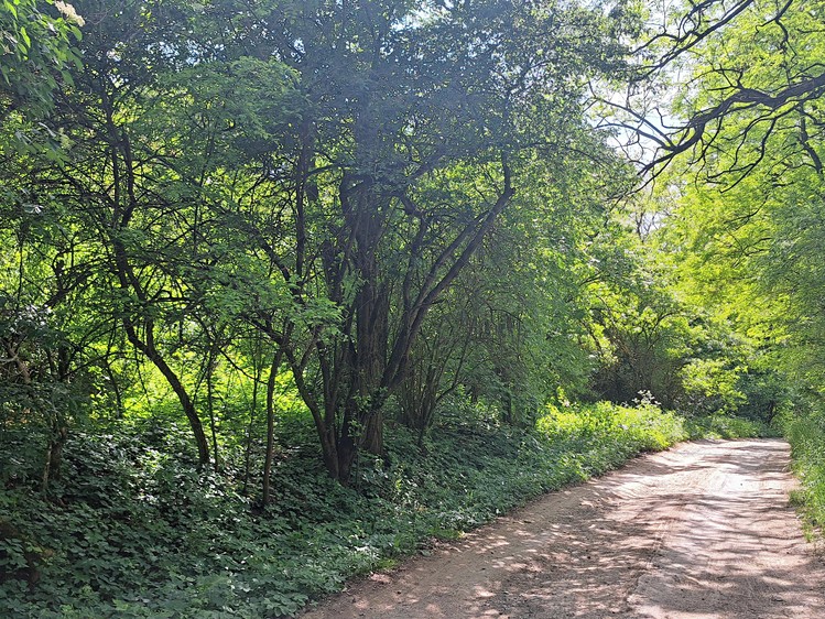 Ostatní