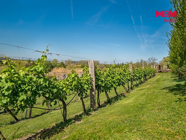 Prodej komerčního prostoru, 76 556 m² (11 z 30)