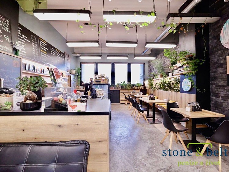 Pronájem komerčního prostoru, 254 m² (1 z 15)