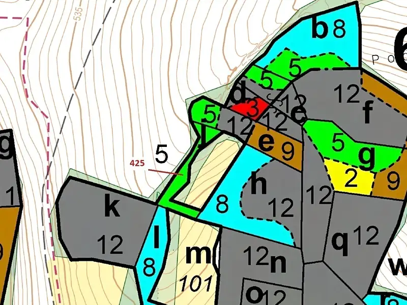 Dražba lesa 1719 m², Kuřimany – náhled fotky 3