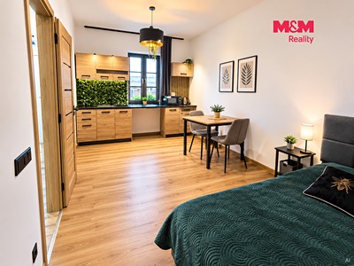 Pronájem bytu 1+kk, 30 m² (3 z 9)
