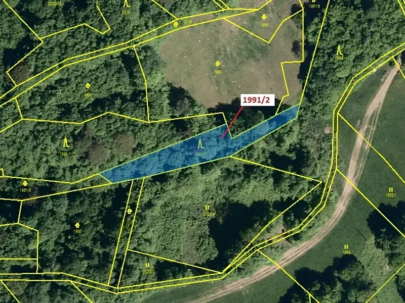 Dražba lesa 933 m², Hovězí – náhled fotky 2